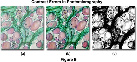 顯微照相中的對比度誤差