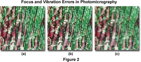 在顯微照相中的焦點和振動誤差